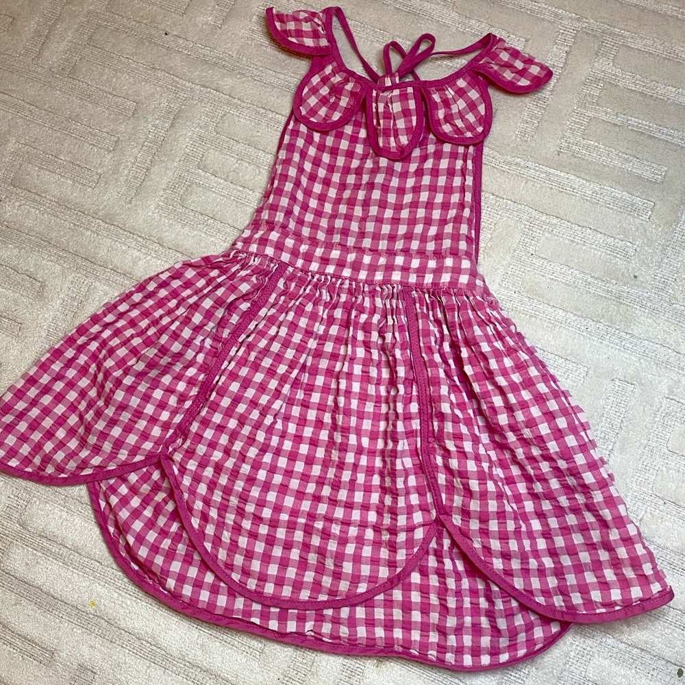The paisley house dress